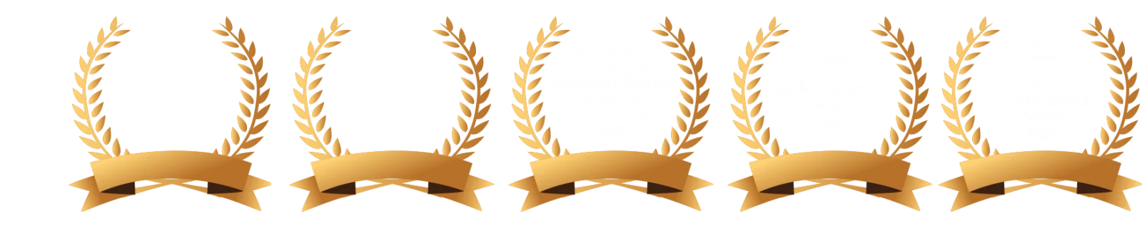 Awards for Sarah Lynch Music